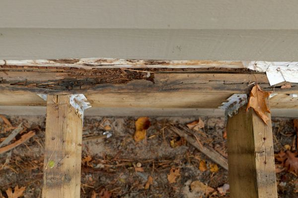 Columbus Wood Rot Repair