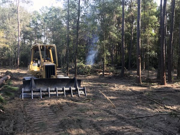 Columbus Land Clearing