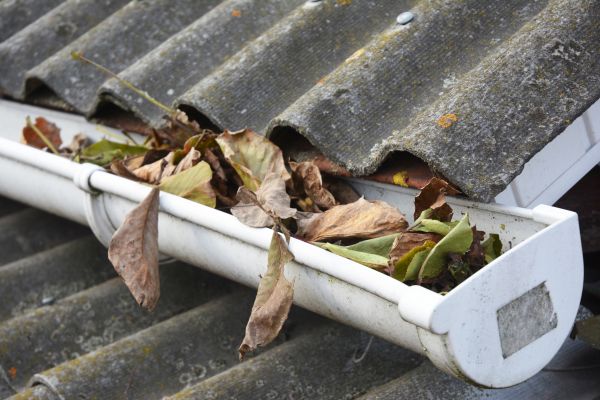 Columbus Gutter Cleaning